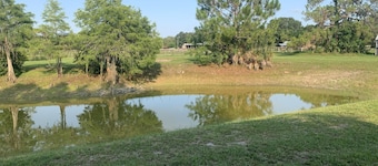 Get away to the Country on a lake enjoying the wild life and horses.