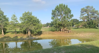 Get away to the Country on a lake enjoying the wild life and horses.