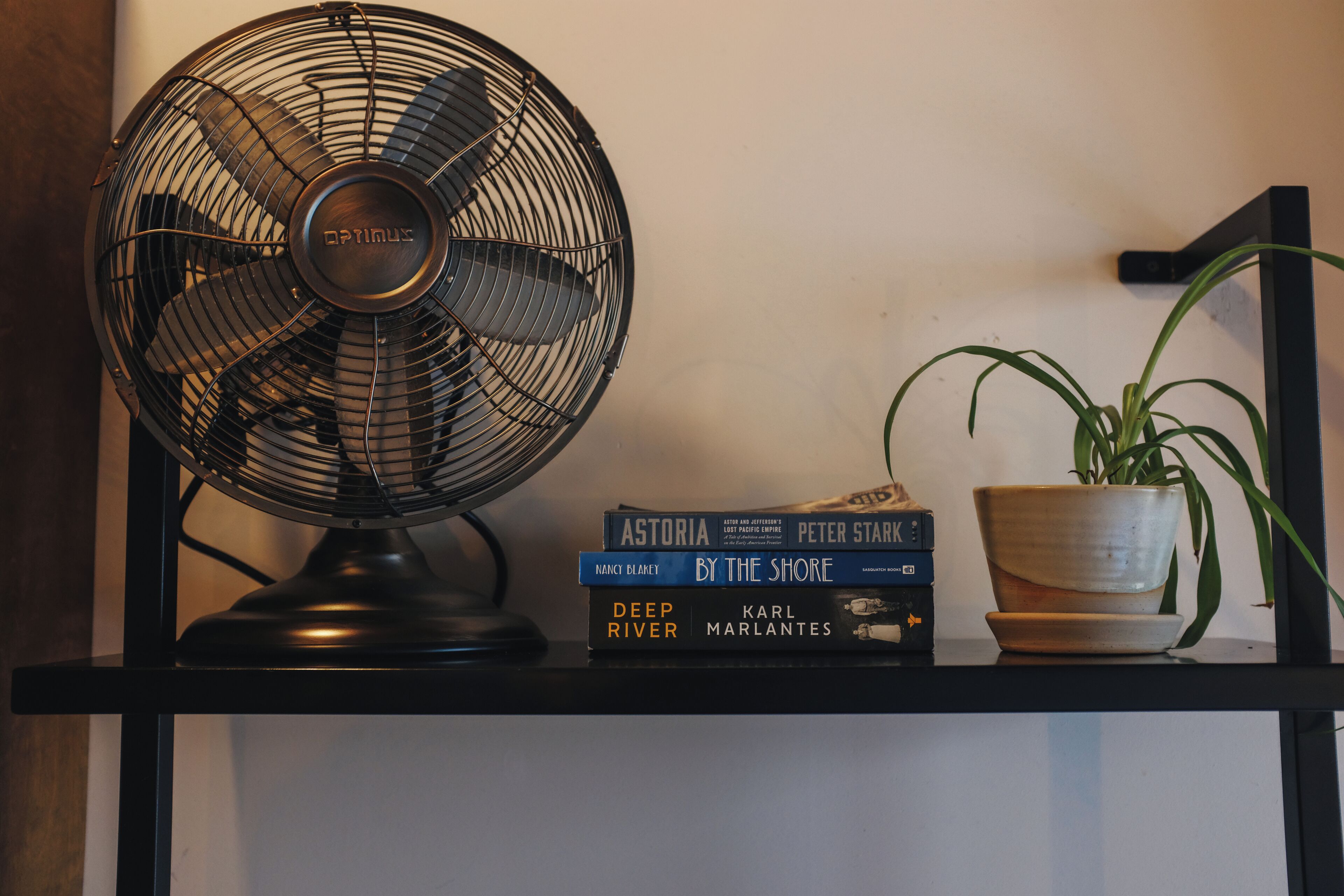 A black fan, a potted plant, and a stack of books on a black shelf.