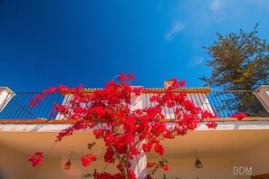 Details aan de buitenkant