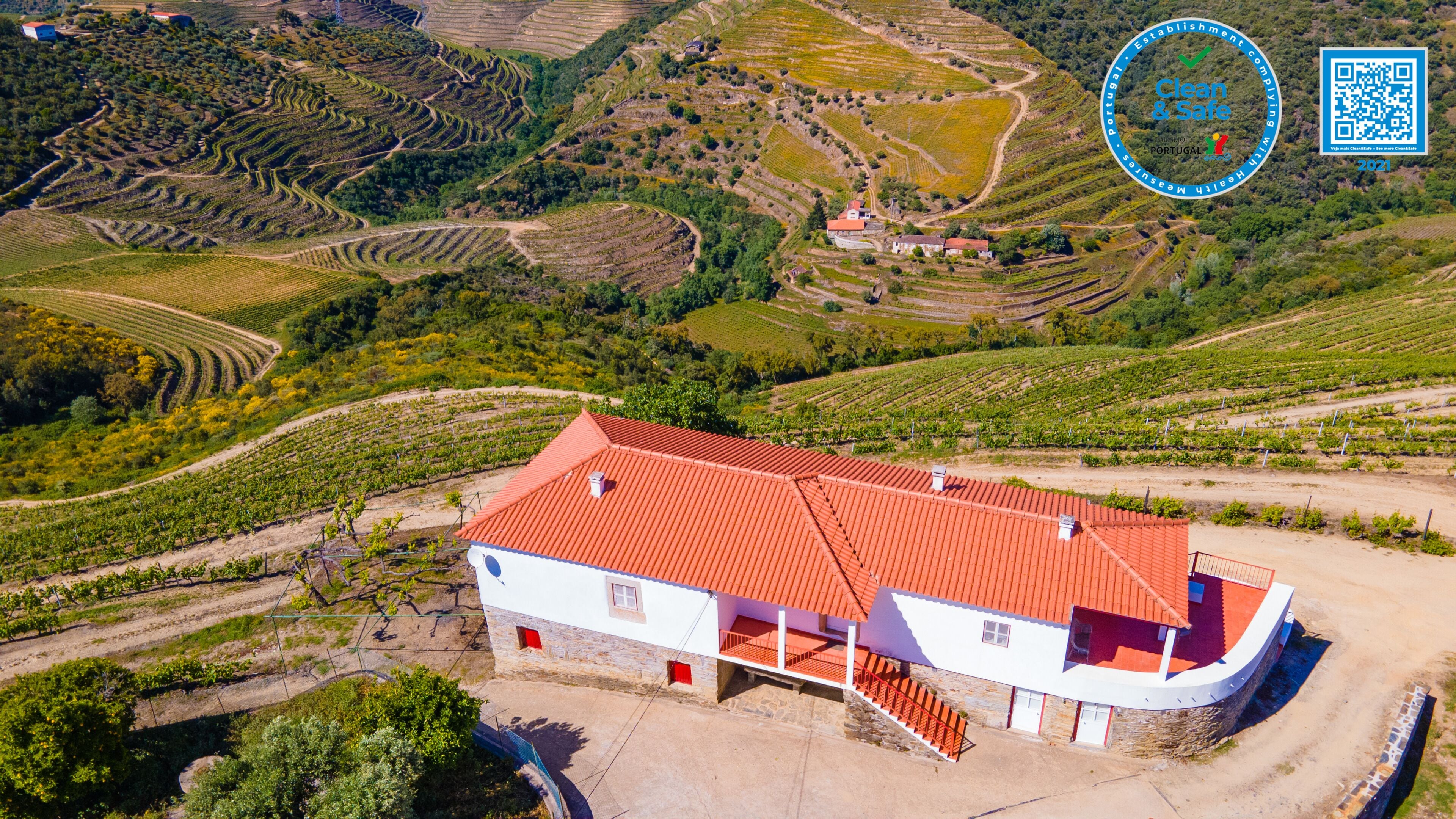 House inserted in a Douro farm with swimming pool and stunning landscapes