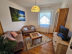 TV, fireplace, books