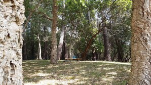 A park with a bench and trees. - MAISON DE MARITXU - Between beach and forest - Landes - Pays Basque (Tarnos)