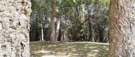 Área da propriedade