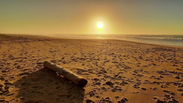 A beach with footprints and a log, sun setting in the background. - MAISON DE MARITXU - Between beach and forest - Landes - Pays Basque (Tarnos)