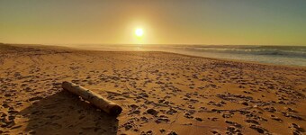 MAISON DE MARITXU - Between beach and forest - Landes - Pays Basque