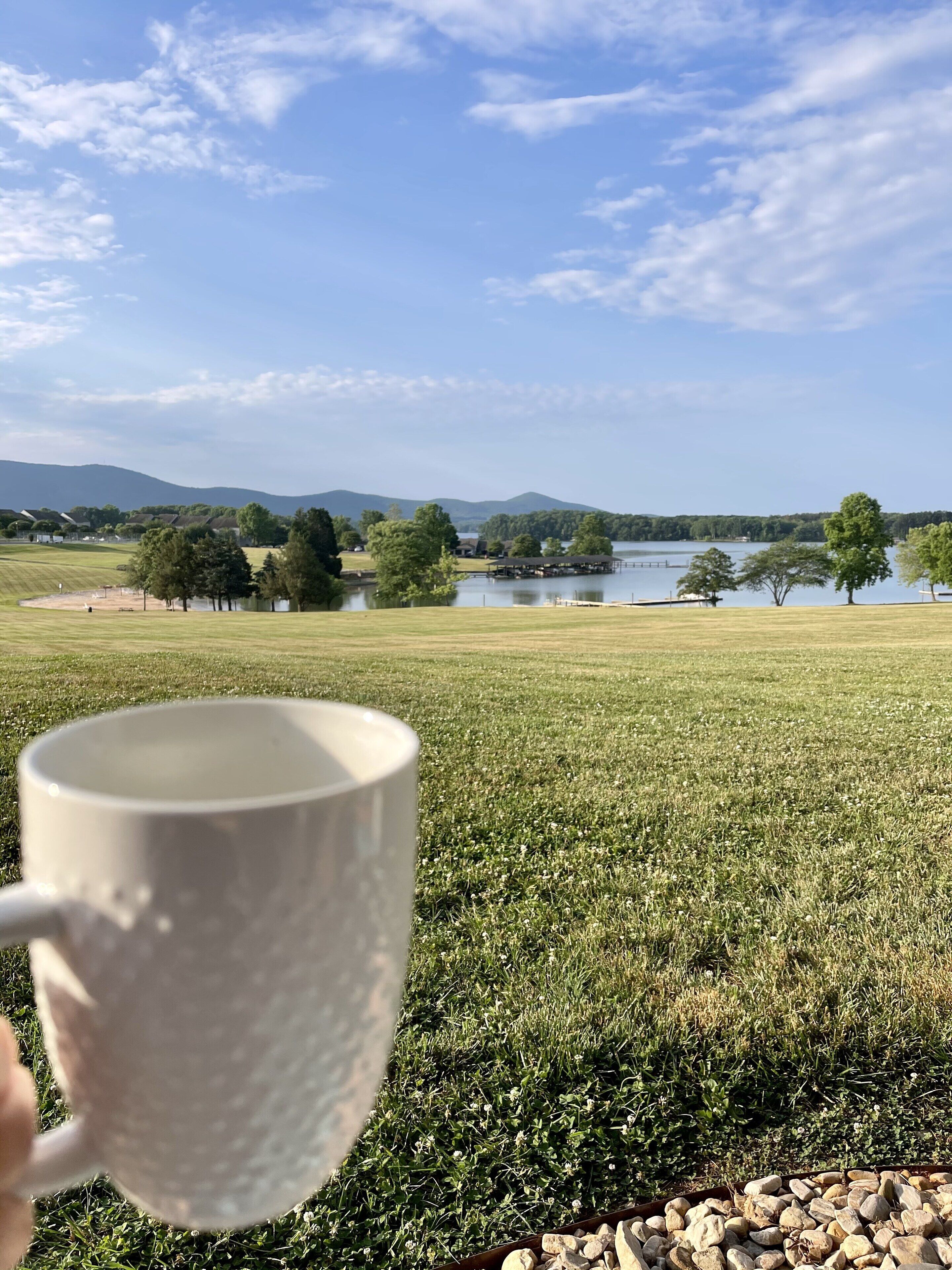 Una taza blanca sostenida en una mano, con vista a un campo cubierto de hierba, árboles y un cuerpo de agua al fondo.