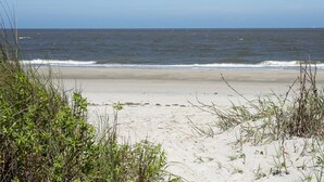 Una playa con arena y vegetación escasa.