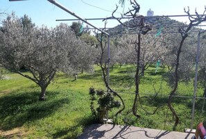 Property grounds - House for vacation in nature (Vodice)