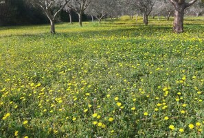 Golf - Holiday home (Vodice)