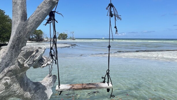 On voit clairement une plage, avec une balançoire suspendue à une branche d’arbre au-dessus de l’eau.