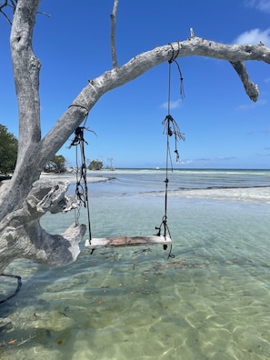 A clear view of a beach with a swing hanging from a tree branch over the water.