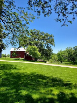 Property grounds