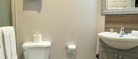 A bathroom with a toilet, sink, and mirror.