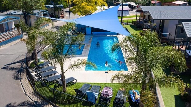 A swimming pool with two people swimming, surrounded by lounge chairs and palm trees. - Geelong Holiday Park (Belmont)
