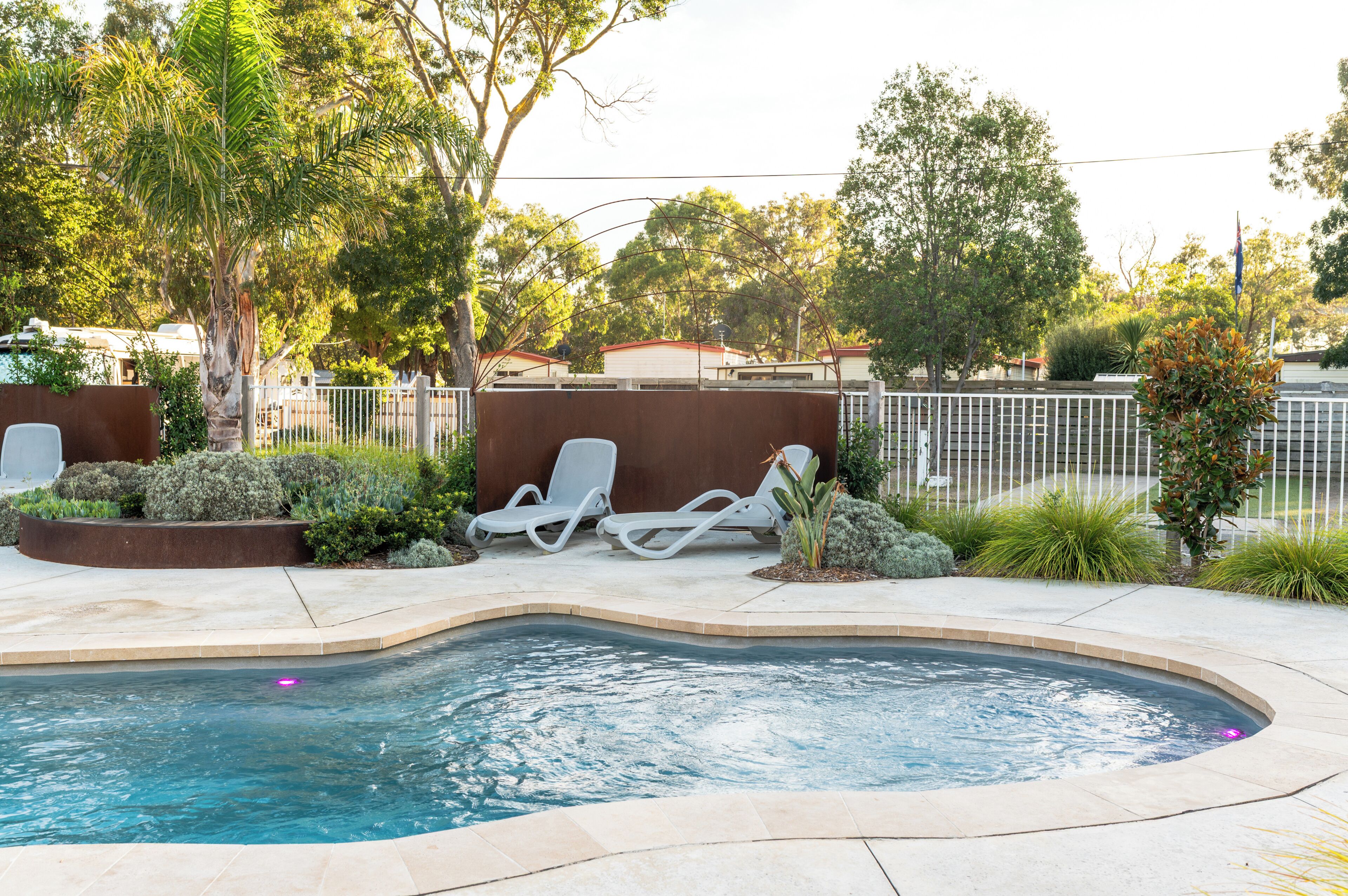 A swimming pool with a curved edge, surrounded by a concrete deck. There are two white lounge chairs and a small garden area with various plants.