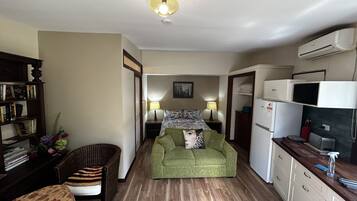 TV, DVD player, books, video library