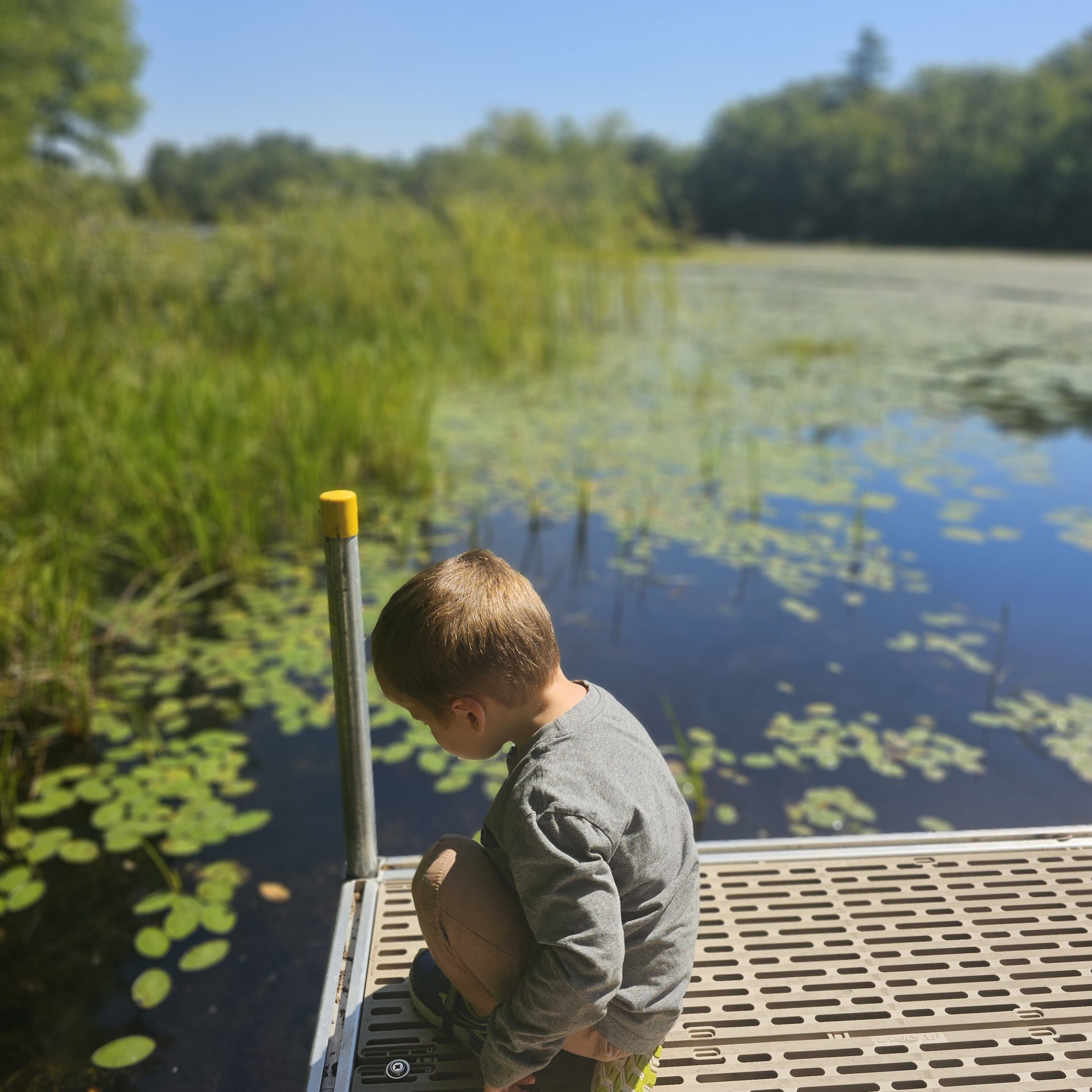 Un niño de pie en un muelle junto a un cuerpo de agua tranquilo, con nenúfares, rodeado de vegetación.