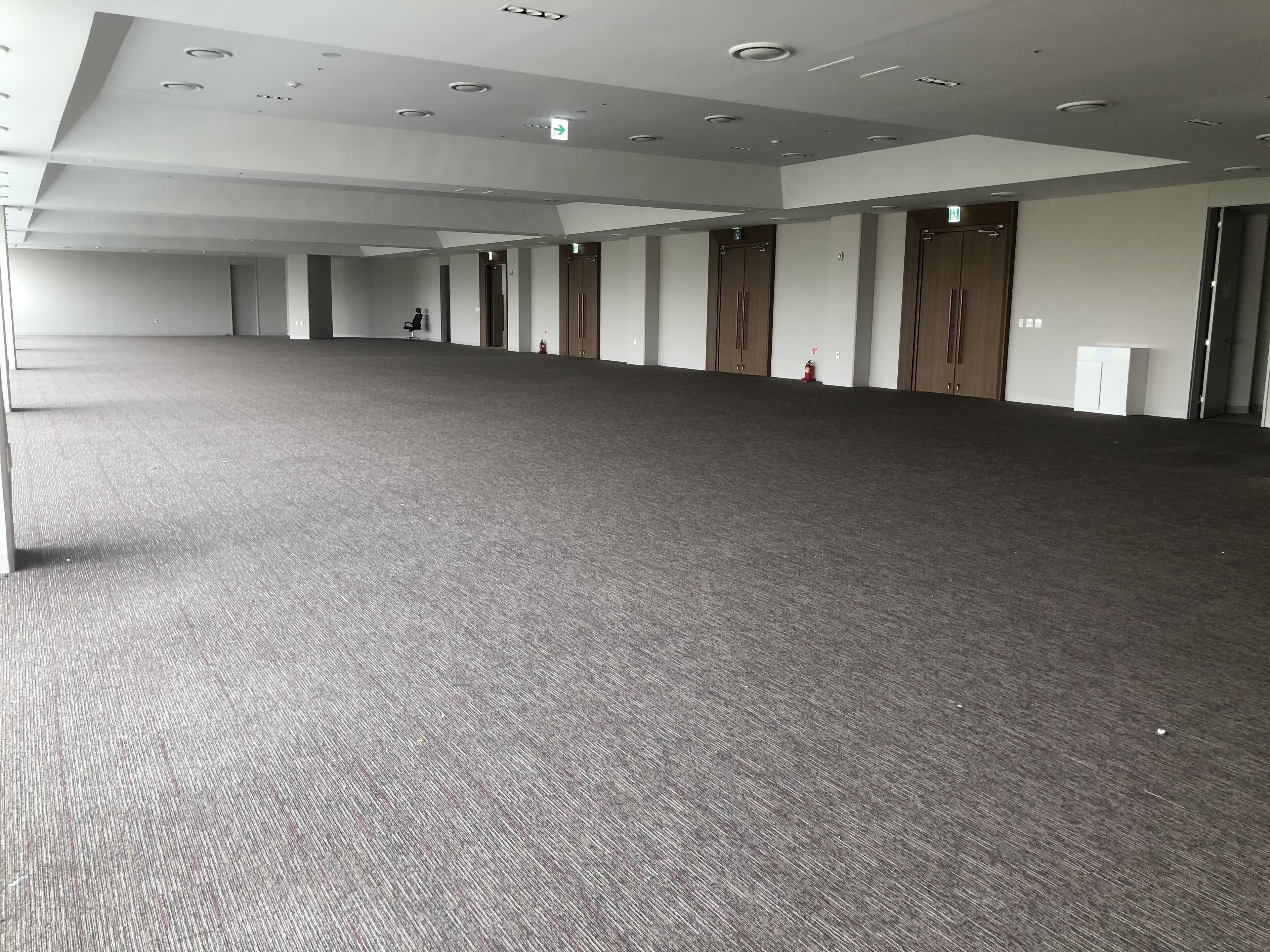 A spacious, carpeted hall with multiple doors and recessed lighting.