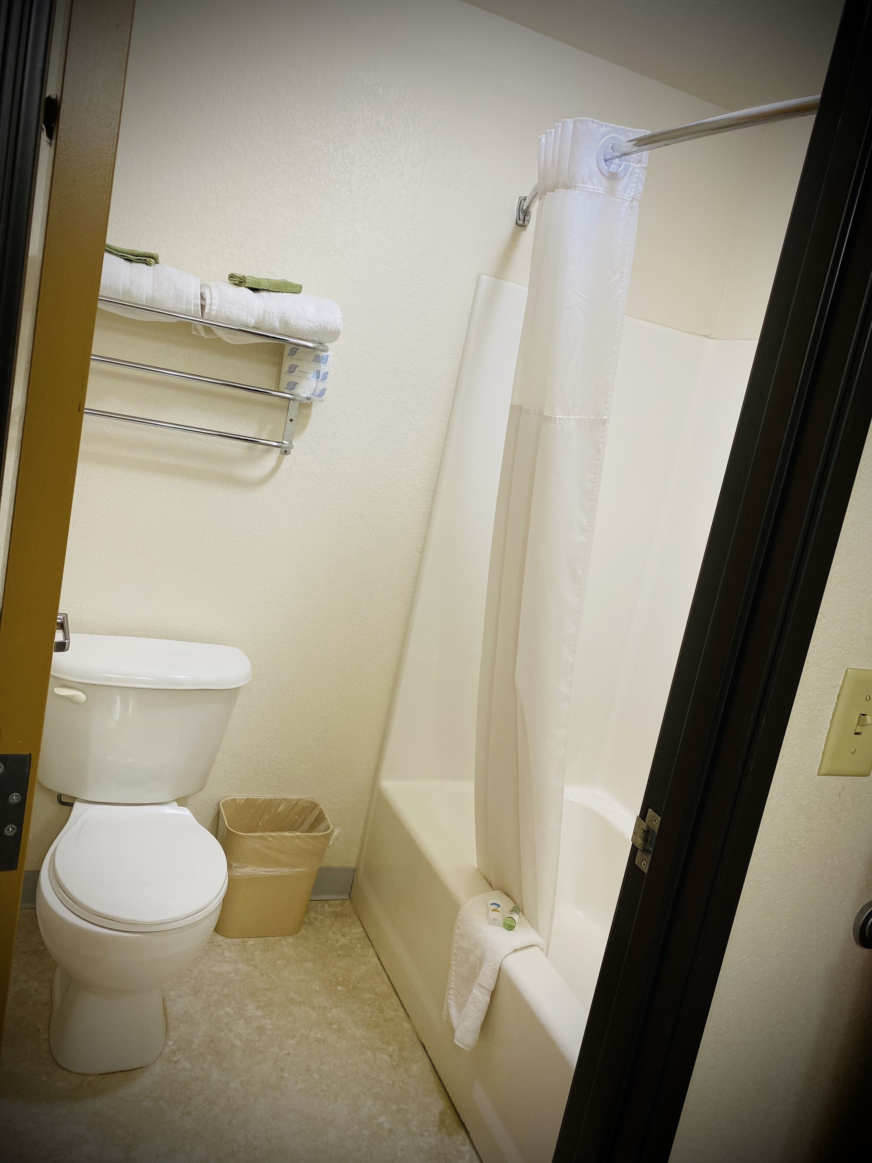 hair dryer, towels, soap, shampoo