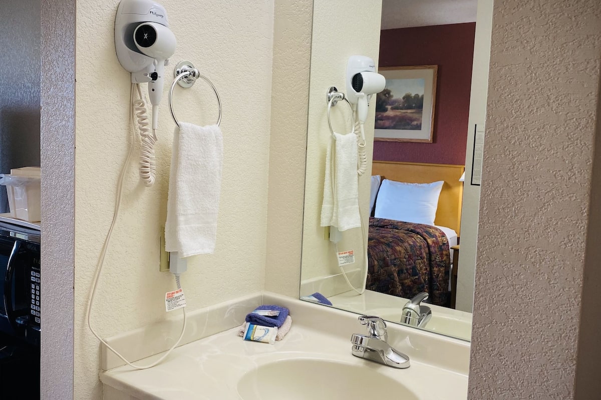 hair dryer, towels, soap, shampoo