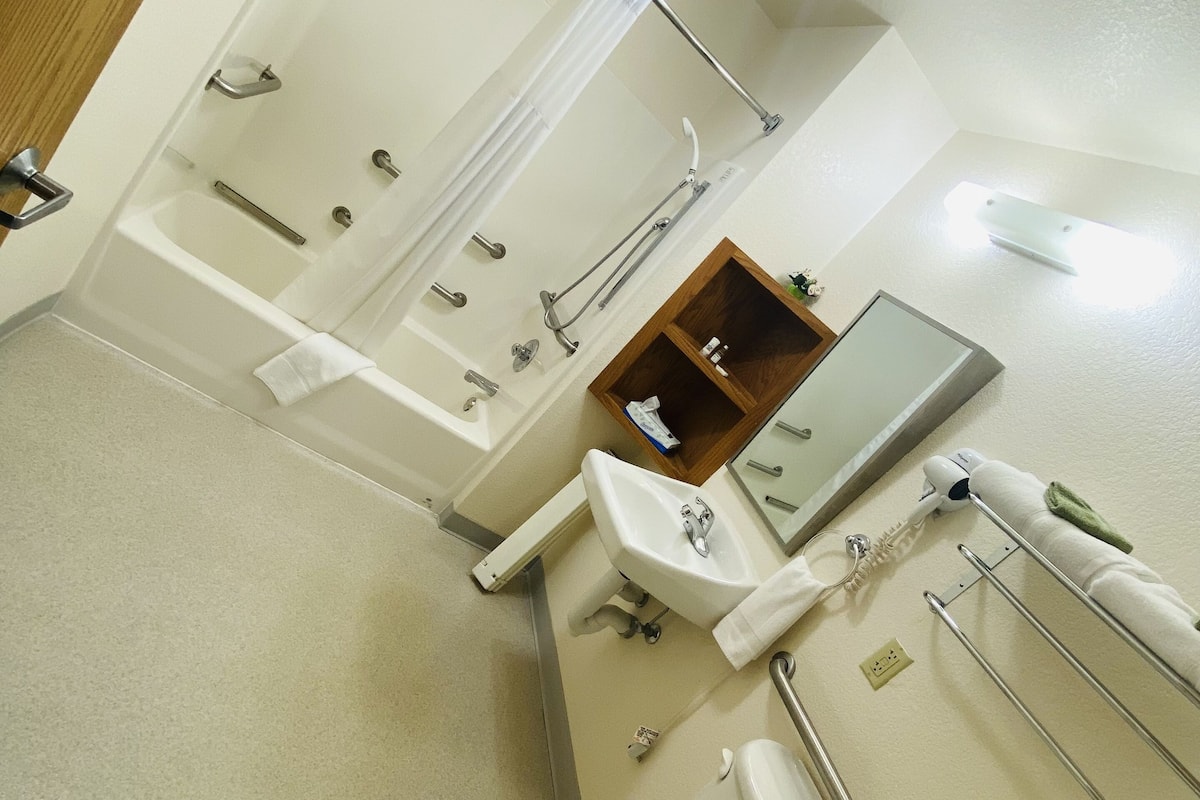 hair dryer, towels, soap, shampoo