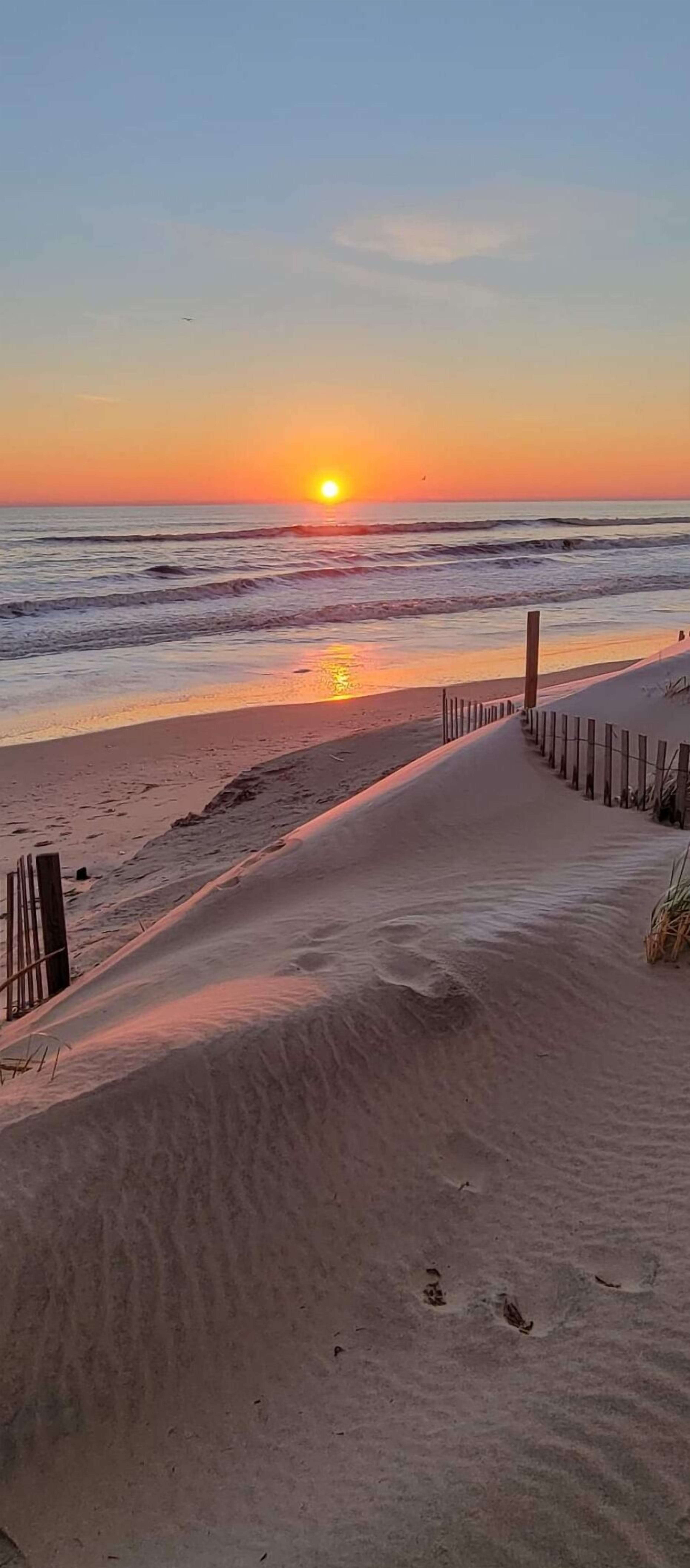 Sun loungers, beach towels