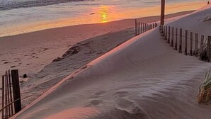 En sti langs stranden der fører hen mod havet, med en solnedgang i baggrunden.