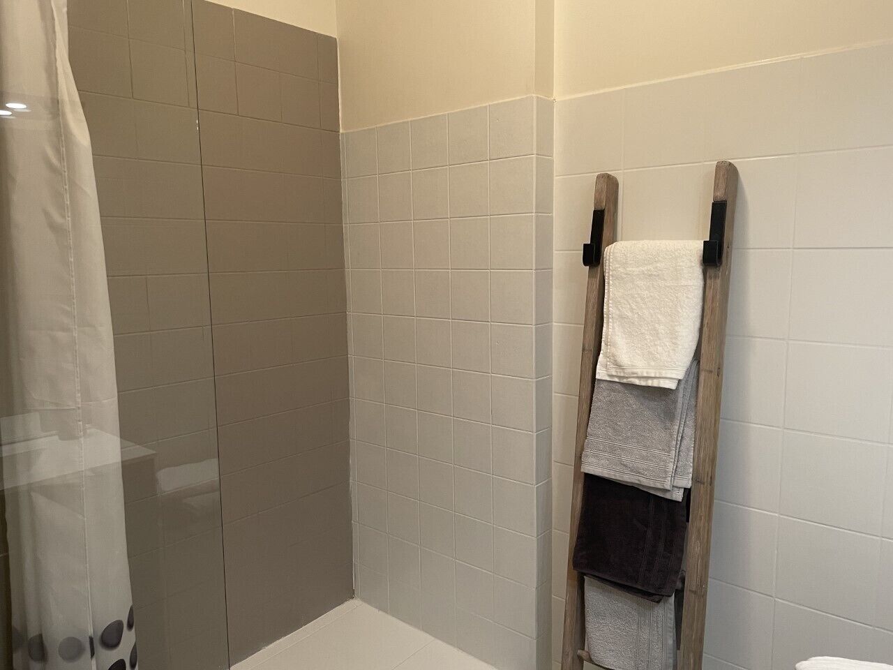 Douche, sèche-cheveux, savon