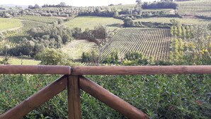 Un paysage de vignoble avec des rangées de vignes et une clôture en bois au premier plan.