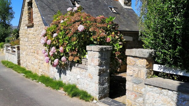 A stone building with a garden wall covered in pink flowers.