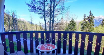 Studio lumineux à Pra-Loup, proche pistes, galerie commerciale et parking privé.