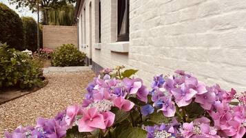 Details aan de buitenkant