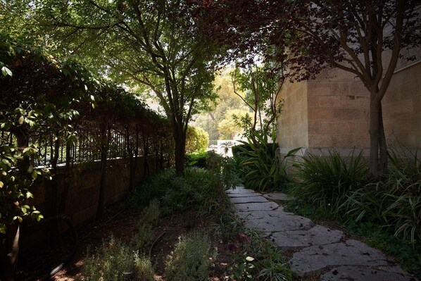 A stone pathway leading through a garden with various plants and trees.