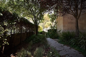 A stone pathway leading through a garden with various plants and trees.
