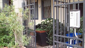 Una entrada cerrada con plantas en macetas y un armario de servicios.