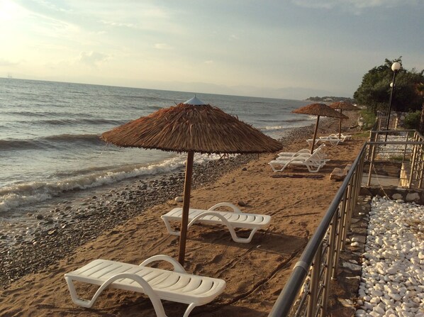 Plage à proximité, chaises longues, serviettes de plage