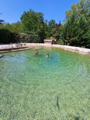 A clear pool surrounded by greenery and a wooden structure in the background. - Apartment TANGARA with balcony (Lagnieu)