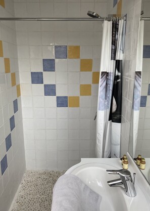Shower, hair dryer, towels, soap - Appartement Colibri à L'étage (Lagnieu)