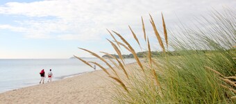 Das Ferienhaus Rohrweihe in Gager auf Rügen
