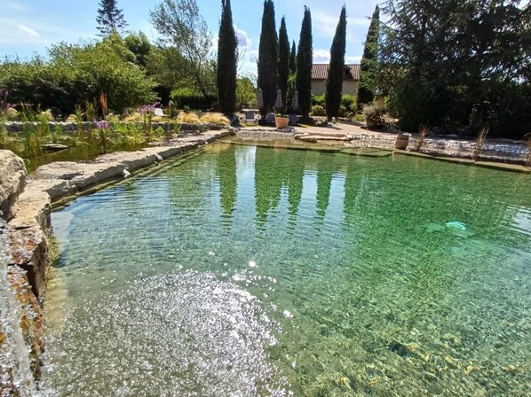 Una piscina cristalina rodeada de muros de piedra y vegetación.