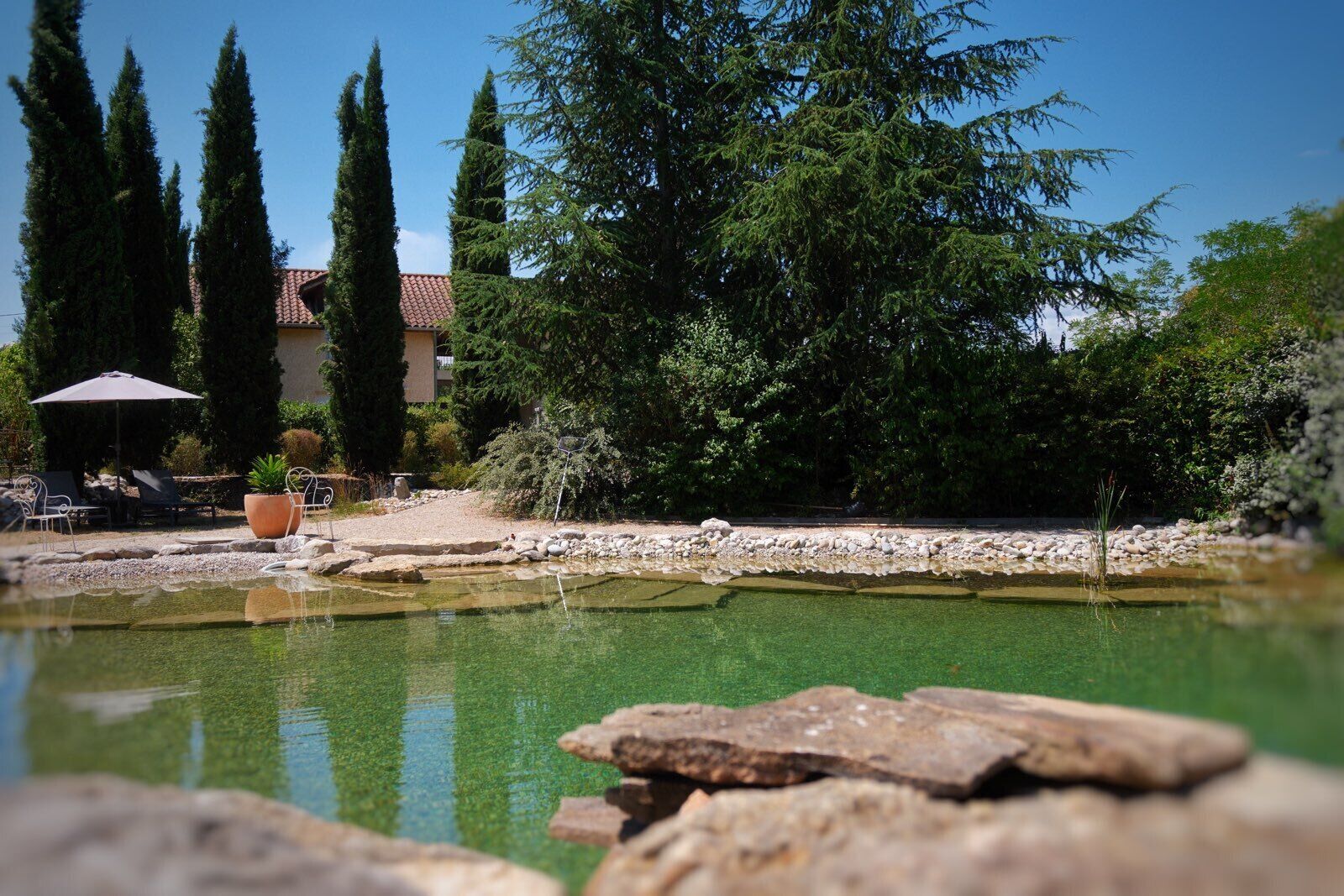 Uma área de piscina ao ar livre tranquila, com vista desobstruída da paisagem circundante, incluindo árvores e um edifício com telhado azulejado.