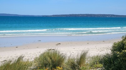 Sapphire Sands - Pet Friendly - Community Pool