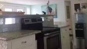 A kitchen with a stove, oven, and microwave. There is a refrigerator and a sink. - Beach and river view cottage with deck and specatuclar views. (Matagorda)