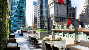 Property grounds - Great Place To Enjoy! 2 Spacious Units, Close To Parks/Broadway, Pet-friendly! (New York)