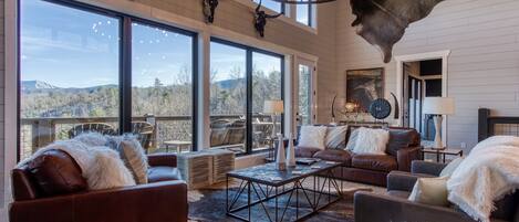 TV, peis, videospill og DVD-spiller