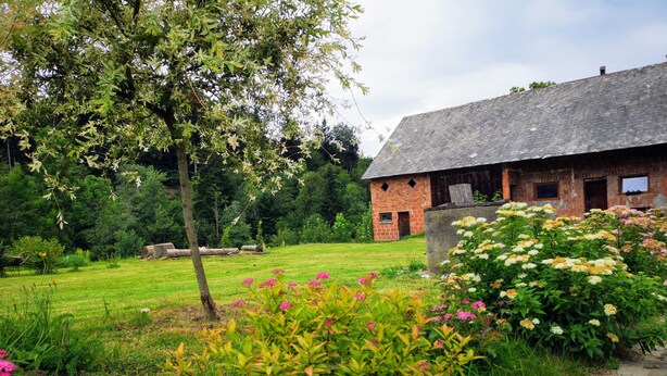 Eksteriør