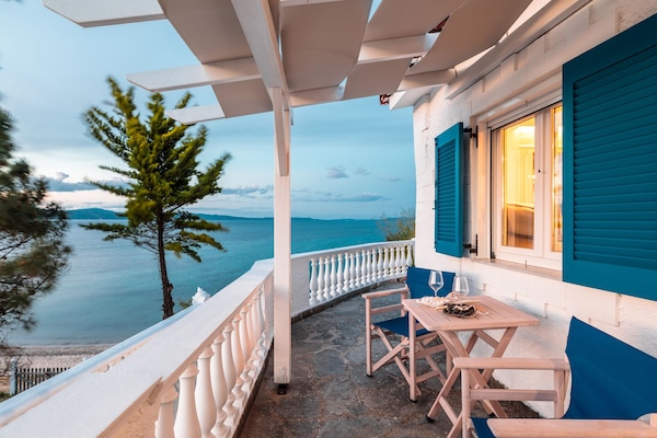 Premium Suite | View from room