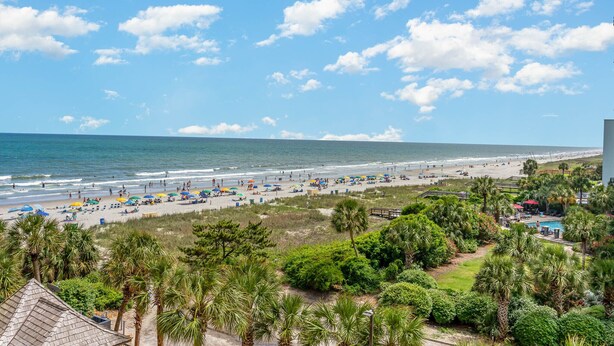 A beach with umbrellas and people, palm trees, and a clear sky.