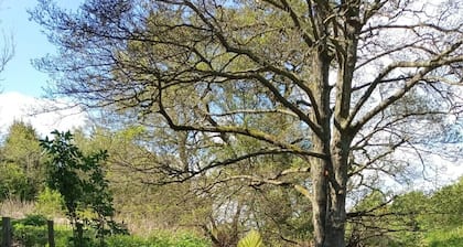 Foresterseat Glamping